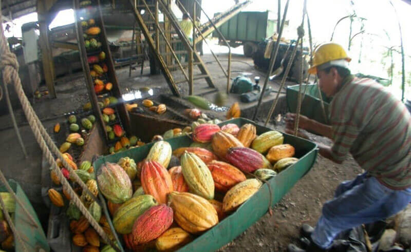 Čokoláda Trinitario Costa Rica Vital Country 1